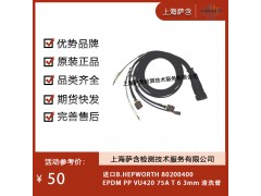 進口B.HEPWORTH 80200400清洗管
