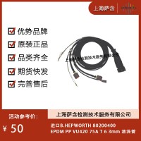 進(jìn)口B.HEPWORTH 80200400清洗管